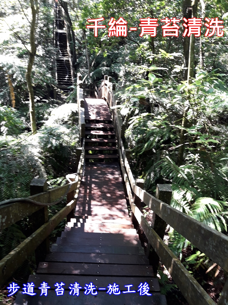 千綸-步道青苔清洗